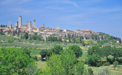 Fototapeta premium der mittelalterliche Ort San Gimignano in der Toskana