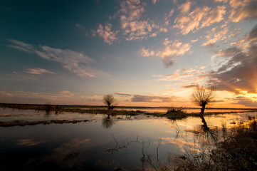 Sonnenuntergang in einer Moorlandschaft.