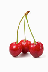 cherries on a white background