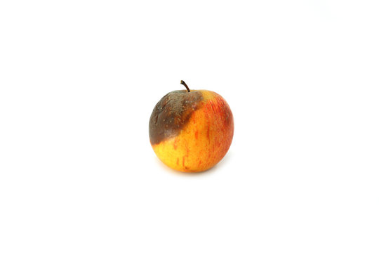 The apple begins to rot isolated on white background.