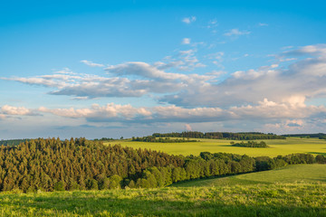 Naklejka premium Weitblick übers Vogtland bei Reuth