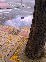 Paseo tras la lluvia