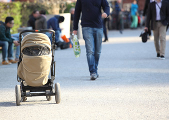 baby stroller on a walk in the park summer day