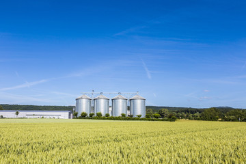 Fototapeta na wymiar four silver silos in field under bright sky