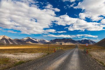 Road in Tundra