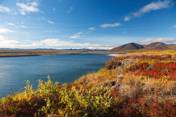 Colorful autumn tundra and river Amguema Arctic Circle, Russia