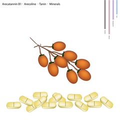Areca Nut with Arecatannin B1, Arecoline and Tanin