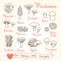 Set drawings of mushrooms for design menus, recipes and packages