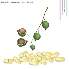 Macadamia with Vitamin B6, Magnesium and Iron