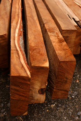 Wood for industrial applications.
