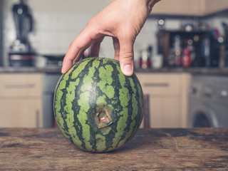 Hand touching rotten melon in kitchen