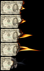 Burning dollars - obrazy, fototapety, plakaty
