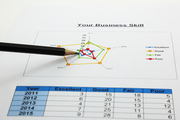 radar chart of your business with a pencil point