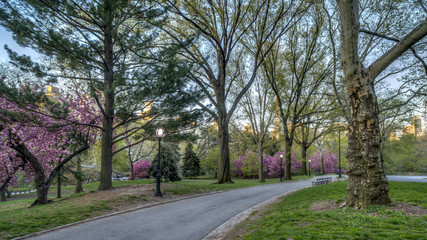 Central Park, New York City