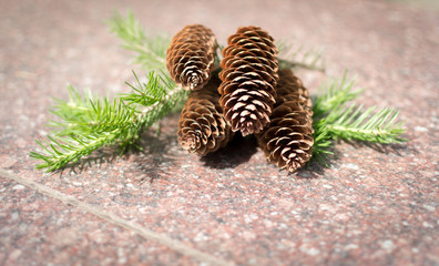 Pine Cones on Stone with Green Branches