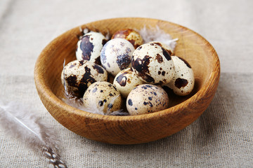 Fototapeta premium fresh quails eggs and feathers