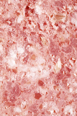 Sausage Slice Closeup