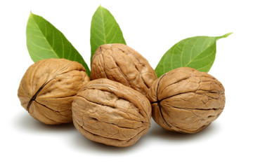 Walnut
