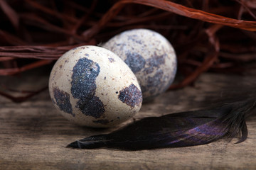 quail egg lying on wooden surface close-up