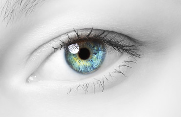 Human Eye