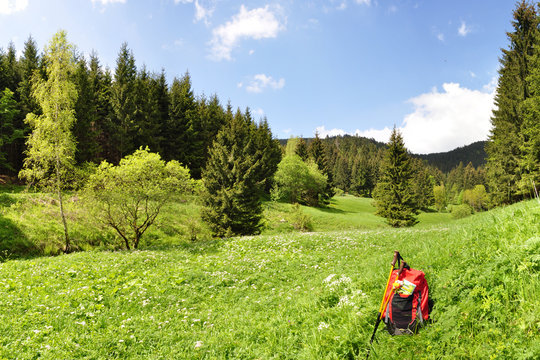 Th&uuml;ringer Wald / Pochwerksgrund
