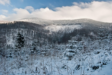 winter Beskid Zywiecki mountains near Zabnica village