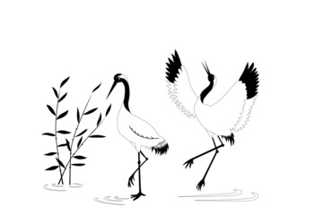 Birds crane nature illustration 