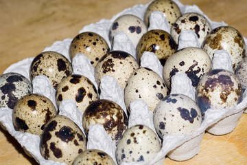 Quail Eggs