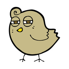 funny cartoon bird