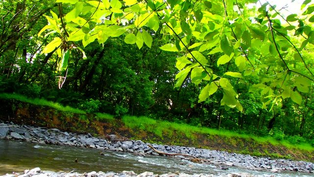 rivi&egrave;re