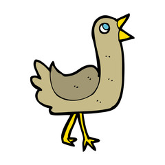cartoon bird