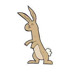 Fototapeta na wymiar cartoon rabbit