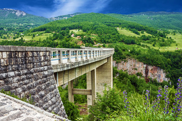 Fototapeta na wymiar Bridge, mountain landscape, Montenegro. Durdevica Tara bridge