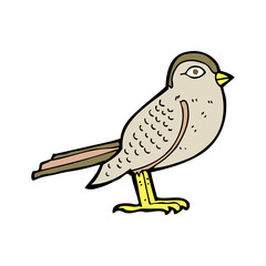 cartoon garden bird