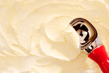 Red Handled Scoop Serving Vanilla Ice Cream