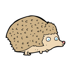 cartoon hedgehog