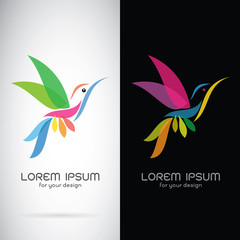 Vector image of an hummingbird design on white background and bl © yod67