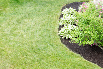 Mulched flowerbed in a neatly manicured green lawn with copy space