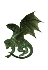 Fototapeta premium Dragon