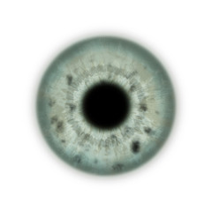 Texture iris vert &oelig;il humain