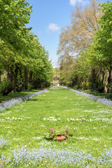 The Cismigiu Gardens (Parcul Cismigiu) In Bucharest