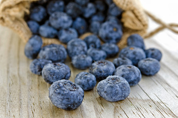 wet blueberries spilling out of burlap bag