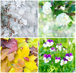 Four seasons: Spring, summer, autumn and winter