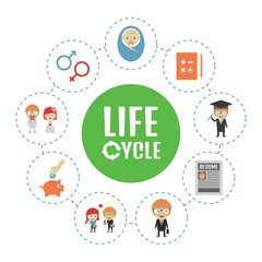 life cycle