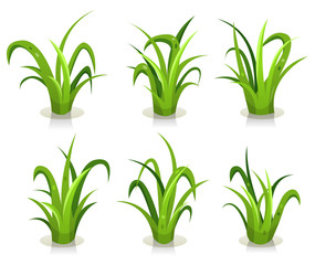 Grass Leaves Set