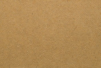 Brown Surface Plywood Background Texture in Horizontal