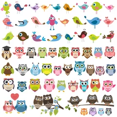 Printed roller blinds Owl Cartoons set of cartoon colorful birds and owls