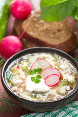 Russian cold soup - okroshka