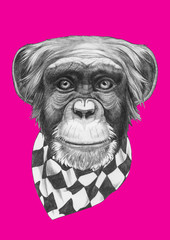 Original drawing of Monkey with scarf. Isolated on colored background.