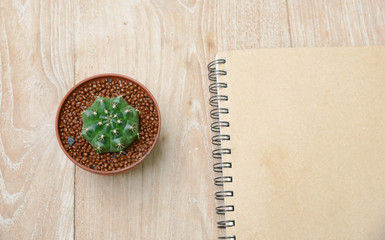 cactus background and decorated on table